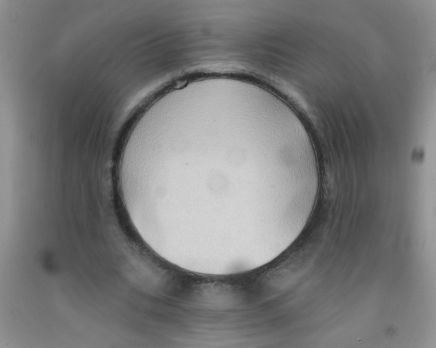 X0000091350535200709071241