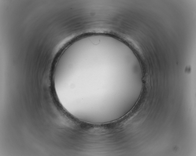 X0000091350536200709071241