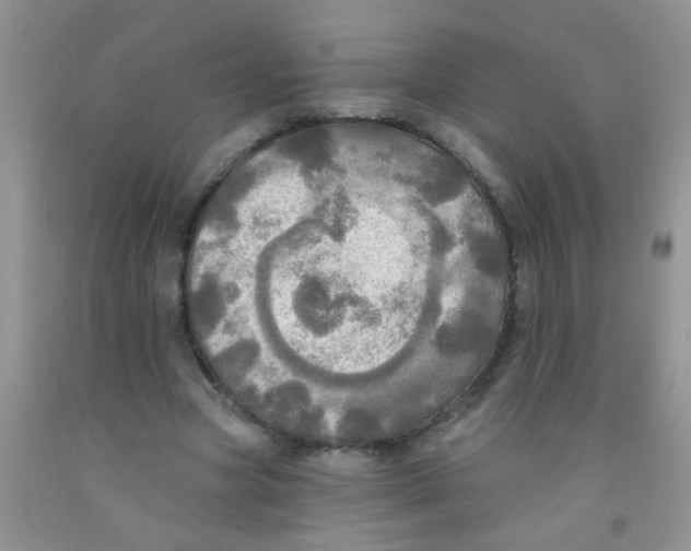 X0000091350537200709071241