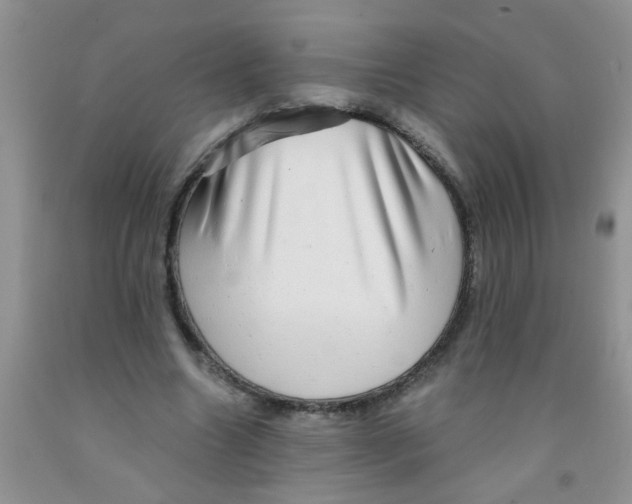 X0000091350538200709071241