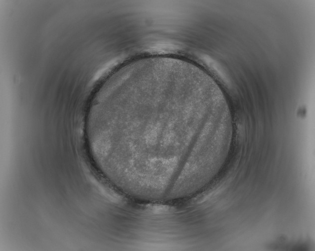 X0000091350539200709071241