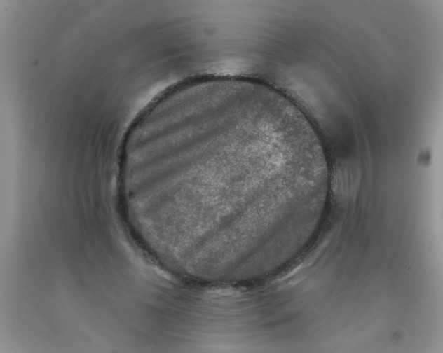 X0000091350540200709071241