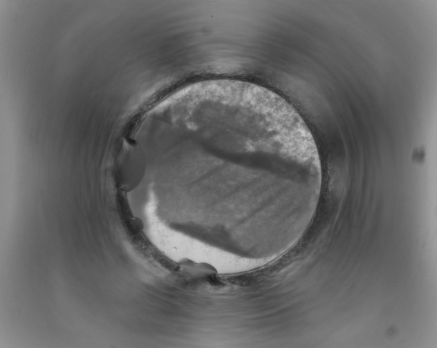 X0000091350542200709071241
