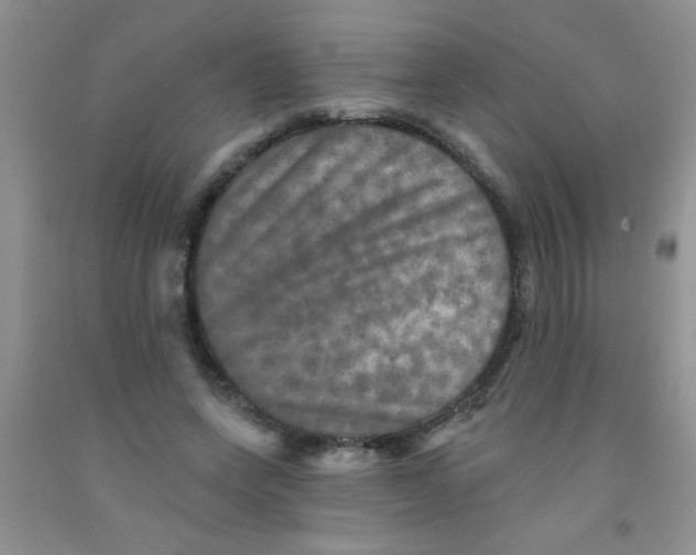 X0000091350543200709071241