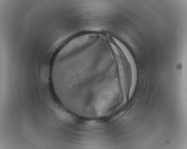X0000091350544200709071241