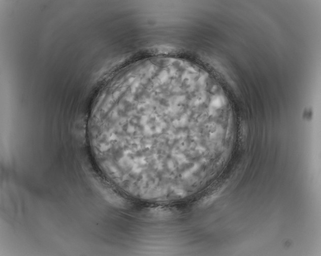 X0000091350545200709071241