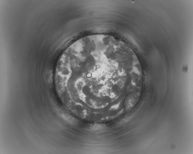 X0000091350549200709071241