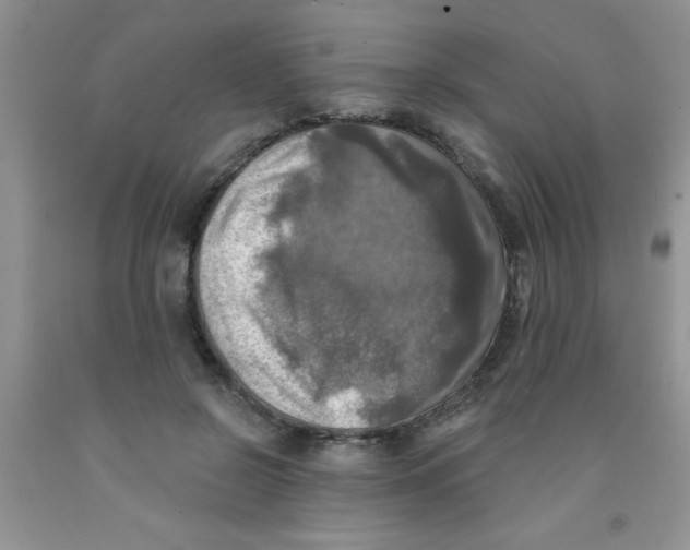 X0000091350550200709071241