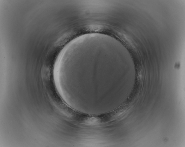 X0000091350551200709071241