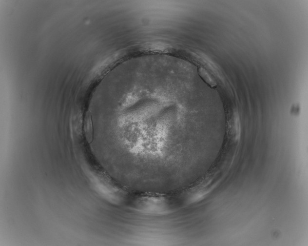 X0000091350552200709071241