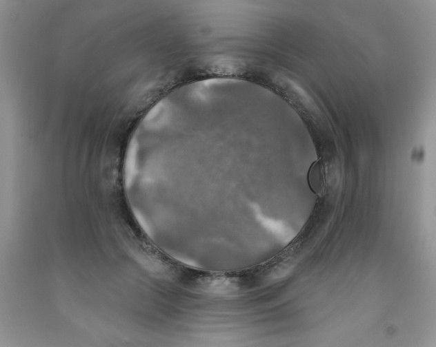 X0000091350553200709071241