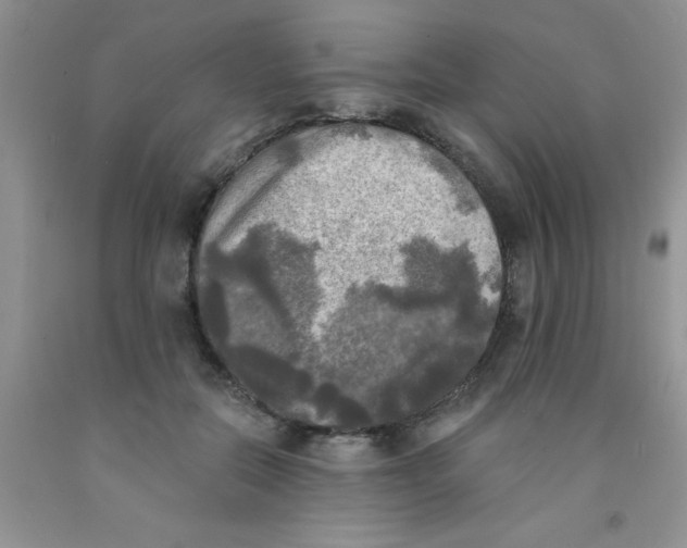 X0000091350554200709071241