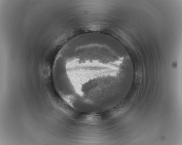 X0000091350555200709071241