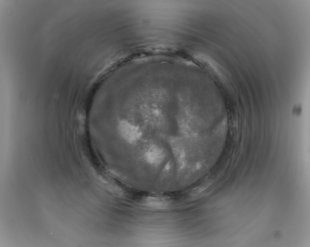 X0000091350556200709071241