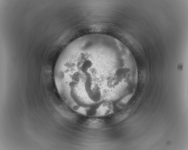 X0000091350557200709071241