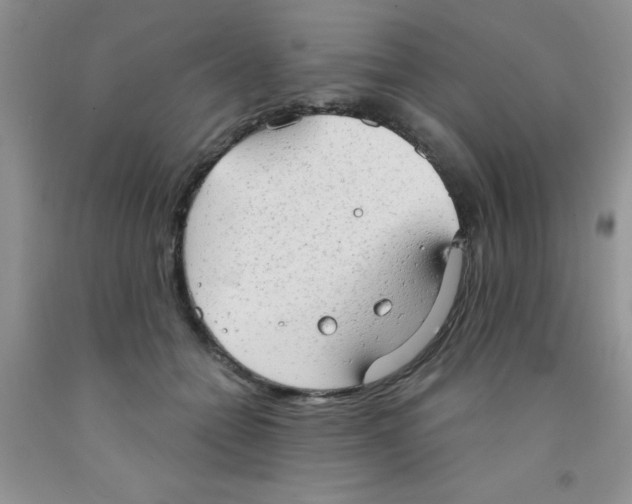 X0000091350558200709071241