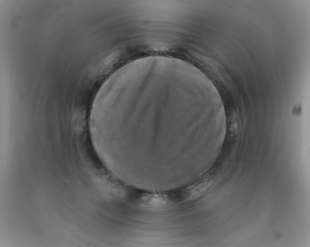 X0000091350559200709071241