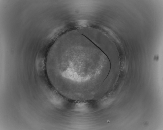 X0000091350560200709071241