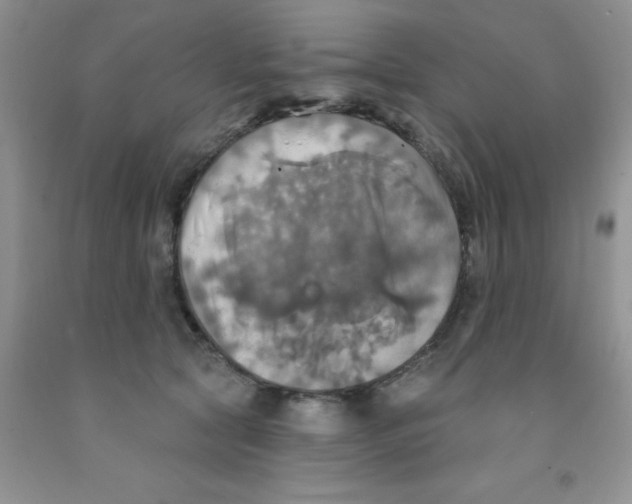 X0000091350561200709071241