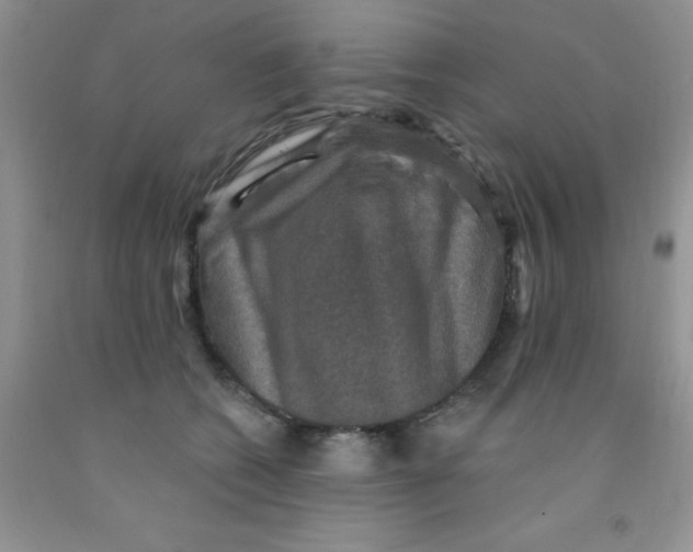 X0000091350562200709071241