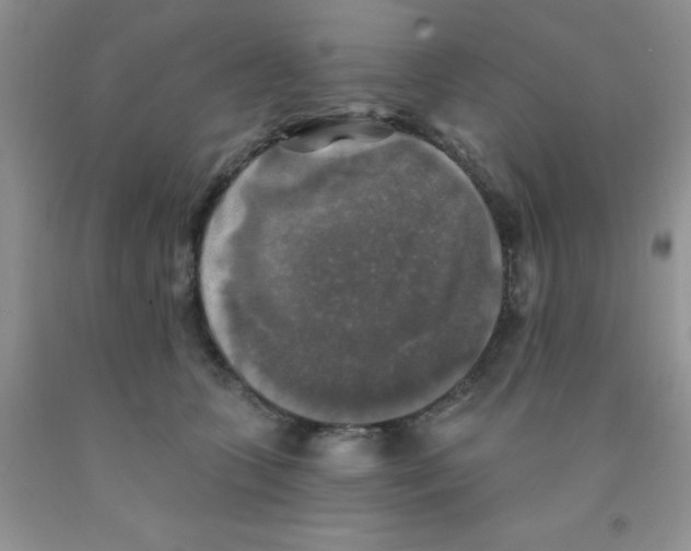 X0000091350563200709071241