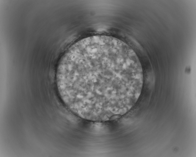 X0000091350565200709071241