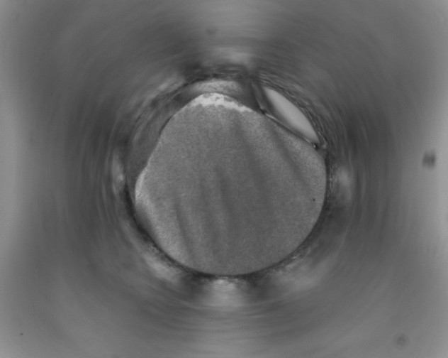 X0000091350566200709071241