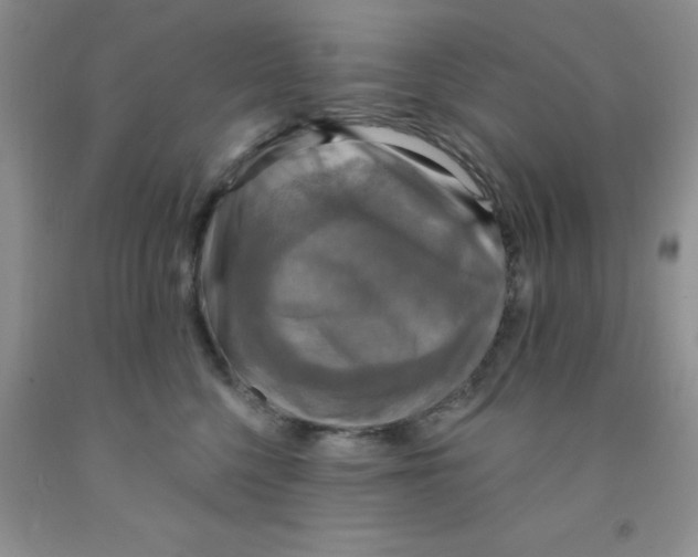 X0000091350568200709071241