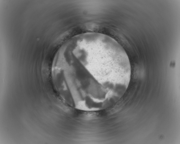 X0000091350569200709071241