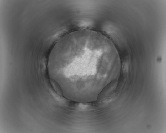 X0000091350570200709071241