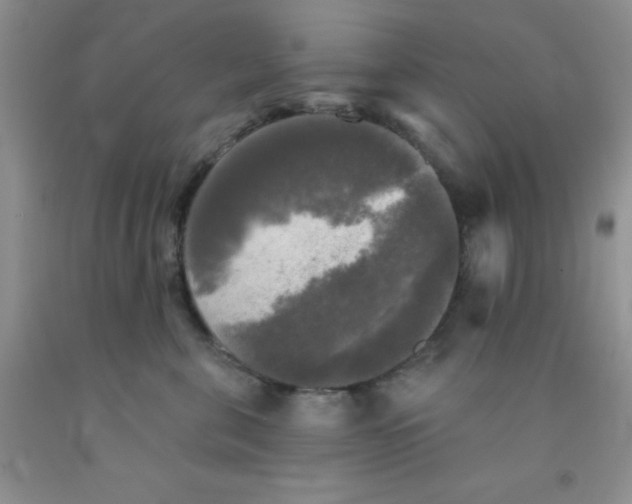 X0000091350571200709071241