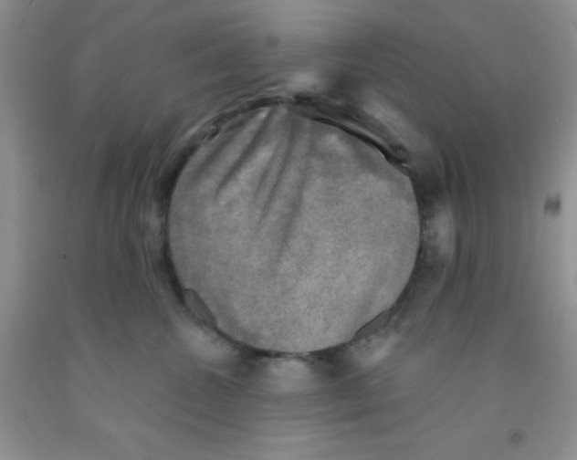 X0000091350572200709071241
