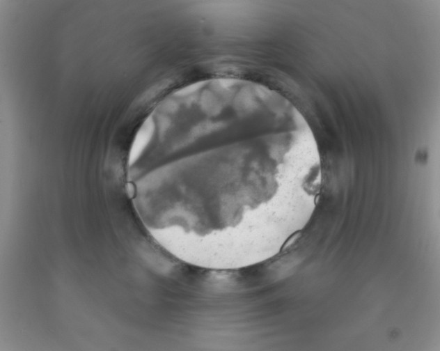 X0000091350573200709071241