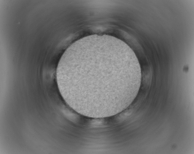 X0000091350574200709071241