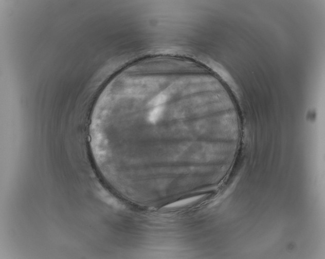 X0000091350577200709071240