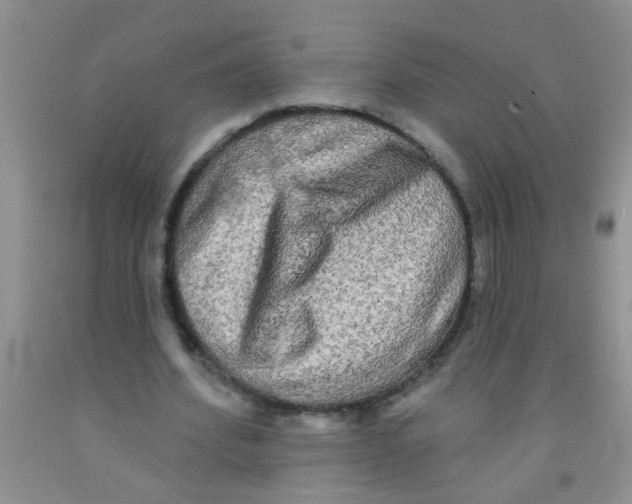 X0000091350580200709071240
