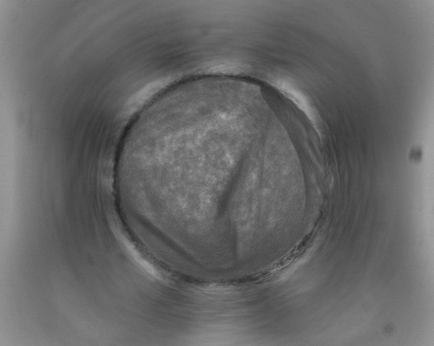 X0000091350581200709071240