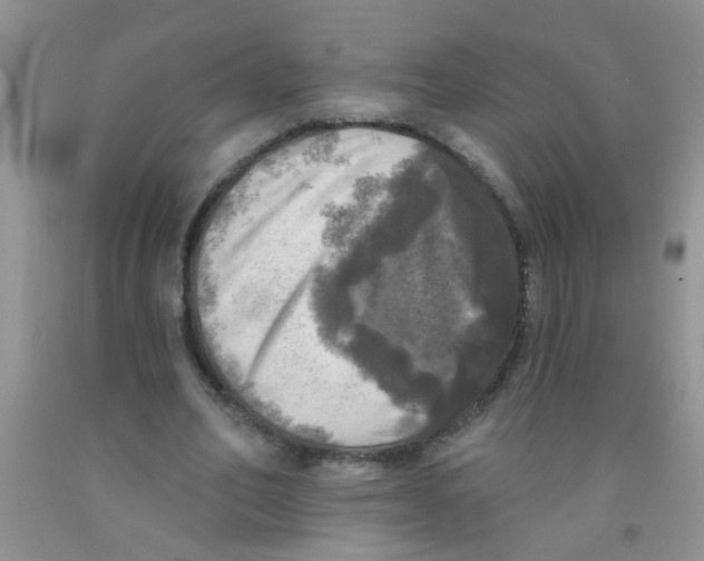 X0000091350582200709071240