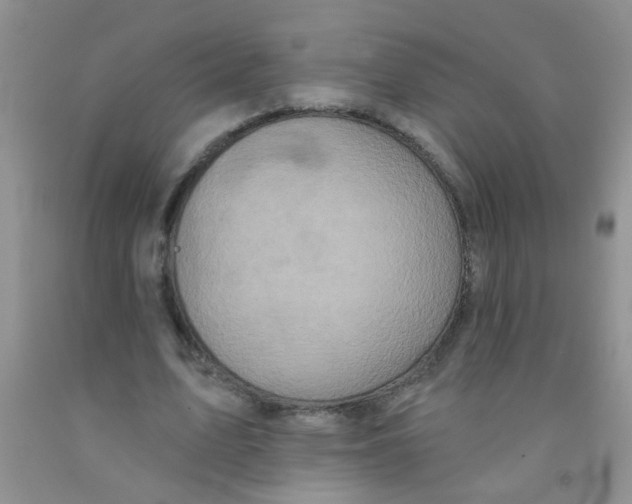 X0000091350583200709071240