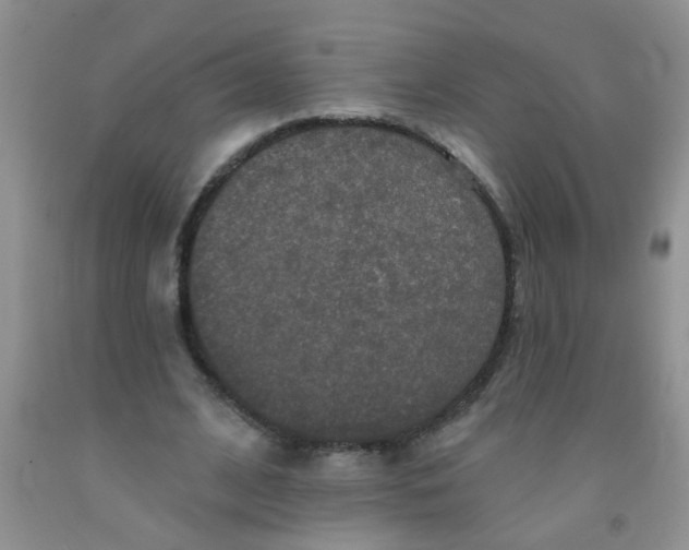 X0000091350584200709071240