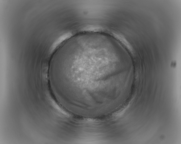 X0000091350585200709071240
