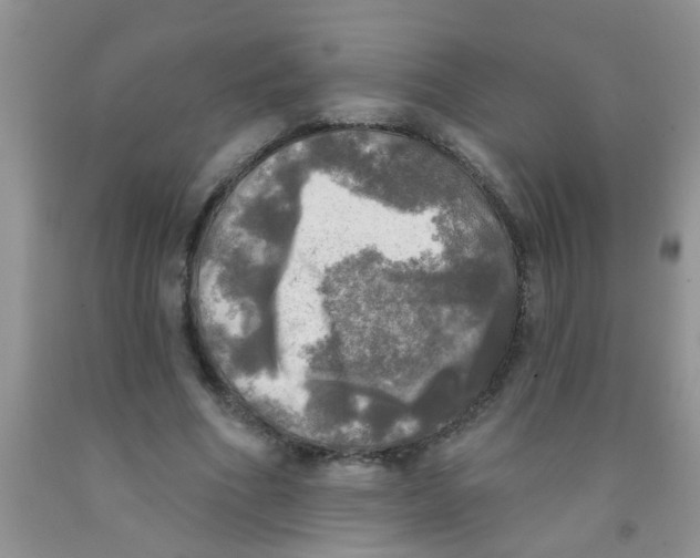 X0000091350586200709071240