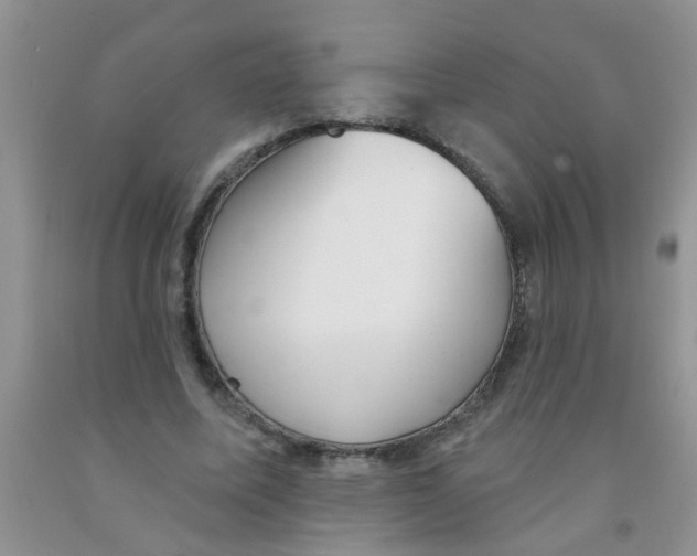 X0000091350587200709071240