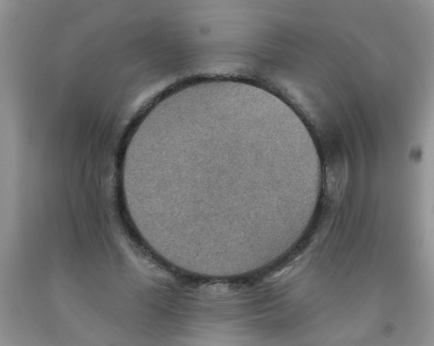 X0000091350588200709071240
