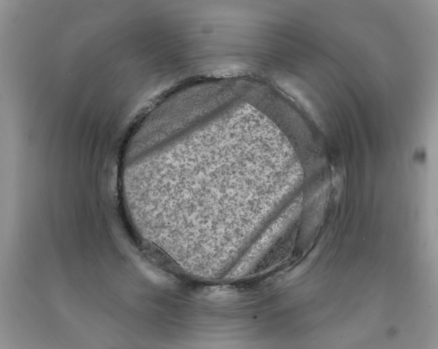 X0000091350589200709071240