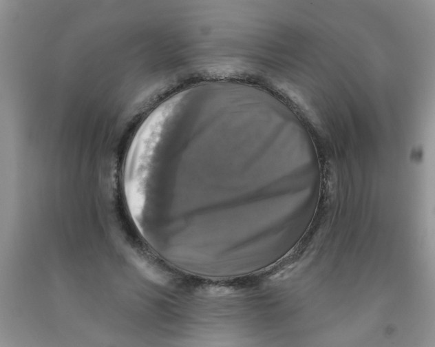X0000091350590200709071240