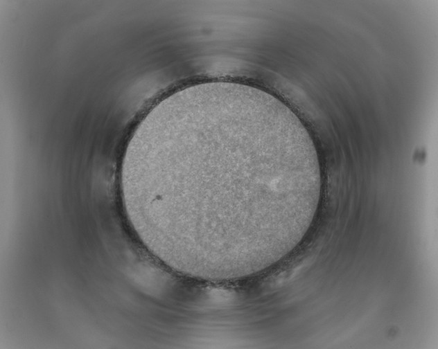 X0000091350592200709071240