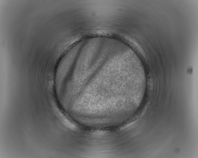 X0000091350593200709071240