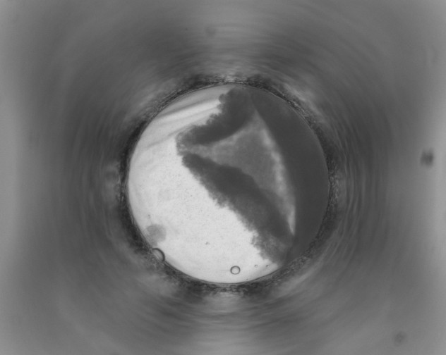 X0000091350594200709071240