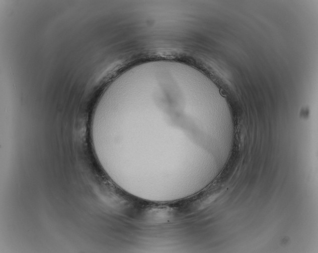 X0000091350595200709071240